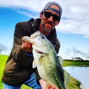 Meet your Posher, Joe